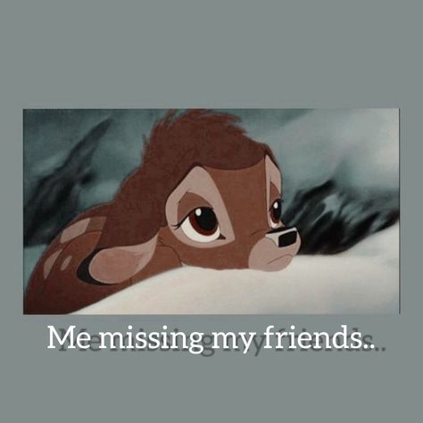 Friend Memes Love, I Miss My Friends Quotes, I Miss My Friend, Missing Friends Quotes, Best Friend Meme, Missing Friends, I Miss My Friends, Miss My Best Friend, Love You Meme