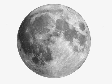 Full Moon, Moon, Black And White, White, Black