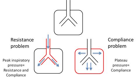 Physiology Terms Airway resistance is the resistive forces encountered during the mechanical respiratory cycle and is ≤5 cm H2O. Lung compliance describes the ease with which lungs stretch and expand to accommodate a change in volume or pressure. People with high lung compliance have more difficulty with the exhalation process while those with low compliance have difficulty with inhalation. Derecruitment is the loss of gas exchange surface area due to atelectasis. It can be minimized by increasi Lung Compliance, Gas Exchange, Surface Area, Lungs, Change In, Respiratory