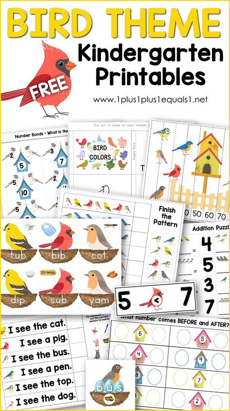 Birds Kindergarten Activities, Bird Printables, Free Kindergarten Printables, Birds For Kids, Chicka Chicka Boom Boom, Chicka Chicka, Kindergarten Printables, Bird Free, Theme Activity