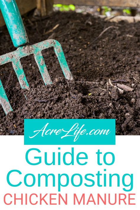 This is a great introduction to composting chicken manure for the beginning composter. #AcreLife #chickens #backyardchickens #compost #composting #manure Composting Manure, Chicken Manure Compost, Chicken Composting, Manure Composting, Composting Ideas, Helping Nature, How To Compost, Chicken Manure, Chicken Poop