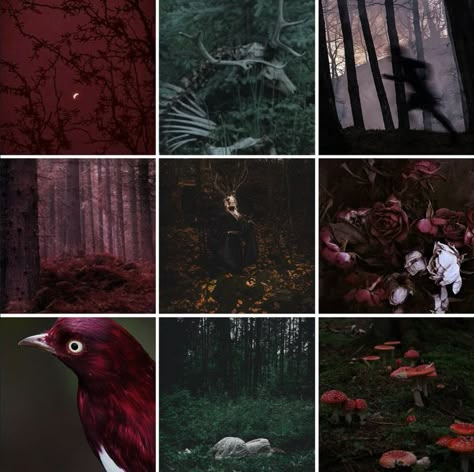 Strange Trails Aesthetic, Strange Trails, Paranormal Aesthetic, Adopt Idea, Lord Huron, Aesthetic Space, Moodboard Aesthetic, Horror Themes, Dark Cottagecore