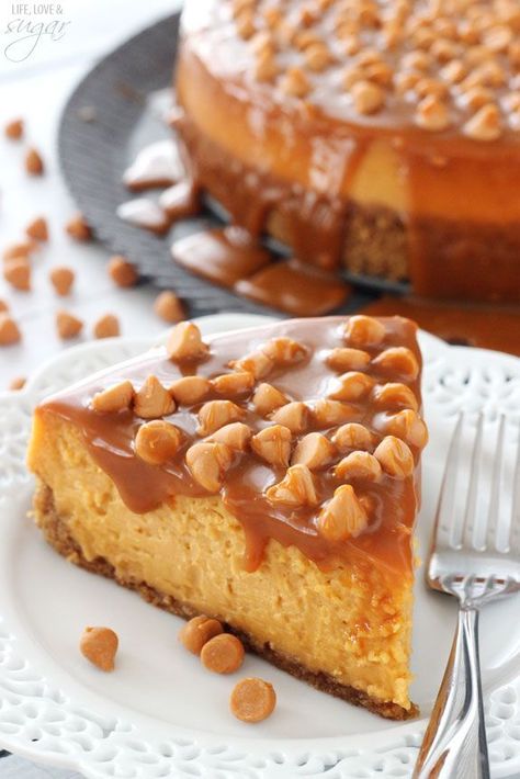 Loaded Butterscotch Cheesecake - so amazingly full of butterscotch! To die for! Butterscotch Cheesecake, Butterscotch Desserts, Life Love And Sugar, Cheesecake Caramel, Best Cheesecake, Delicious Thanksgiving, Pumpkin Cheesecake, Decadent Desserts, Cheesecake Recipes