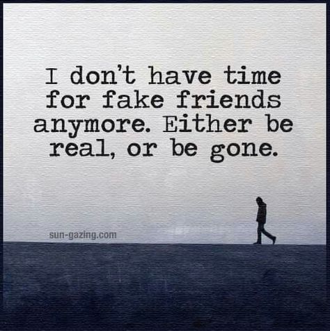 I don't have time for fake friends                                                                                                                                                                                 More Quotes On Fake Friends, For Fake Friends, Friendship Betrayal, Fake Friend Quotes, Quotes Friendship, Fake People, Fake Friends, Awesome Quotes, True Friendship