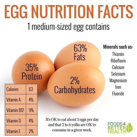 Egg nutrition facts #dibbertadriel577 Egg Nutrition Facts, Egg Nutrition, Nutrition Activities, Nutrition Store, Nutrition Quotes, Nutrition Month, Nutrition Sportive, Healthy Quotes, Resep Diet