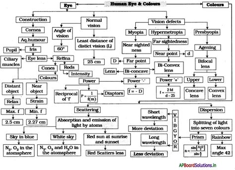 AP Board 10th Class Physical Science Notes Chapter 5 Human Eye and Colourful World – AP Board Solutions Human Eye And Colourful World Class 10, Physics Class 10 Notes Light, Physics Notes Class 10 Human Eye, Light Chapter Class 10 Notes, Light Class 10 Mind Map, Class 10 Science Notes Physics Light, Human Eye And The Colourful World Notes, Human Eye Class 10 Notes, Human Eye Notes
