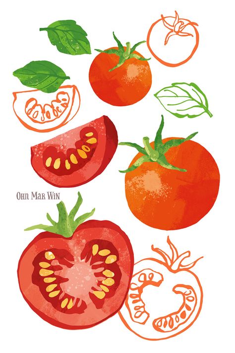 Food — Ohn Mar Win Illustration Food Digital Painting, Fruit Illustration Watercolour, Tomato Soup Illustration, Fruit Digital Painting, Fruit And Veggie Illustration, Tomato Illustration Cute, Vintage Vegetable Illustration, Cherry Tomato Illustration, Tomato Illustration Graphics