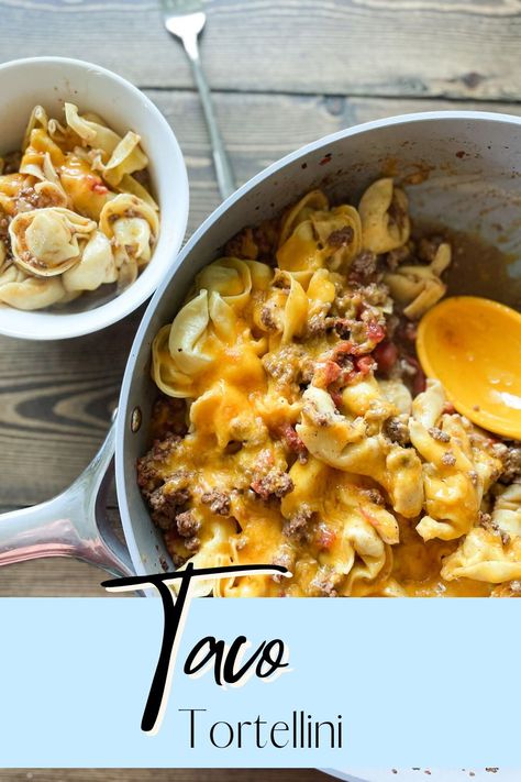 Tortellini Recipes With Ground Turkey, Tortellini And Burger Recipes, Tortellini Taco Bake, Tortellini With Ground Turkey, Tortellini Ground Turkey Recipes, Beef And Cheese Tortellini Recipes, Tortellini Taco Soup, Taco Tortellini Soup, Tortellini Soup With Ground Beef