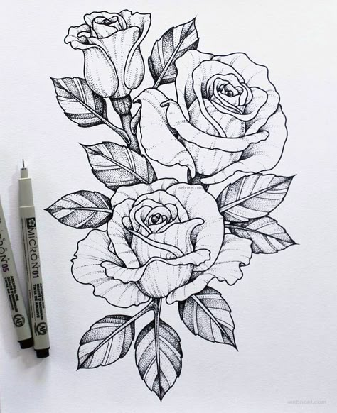 by armankhan1100 Upper Back Tattoos, Beautiful Flower Drawings, Drawing Hands, Tattoo Templates, Drawing Faces, Rose Drawing, Diy Tattoo, Portrait Paintings, Roses Drawing