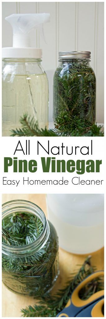 Homemade Kitchen Cleaner, Vinegar For Cleaning, Scented Vinegar, Green Cleaning Recipes, Cleaner Recipes, Vinegar Cleaning, Deep Cleaning Tips, Kitchen Cleaner, Homemade Cleaning Products