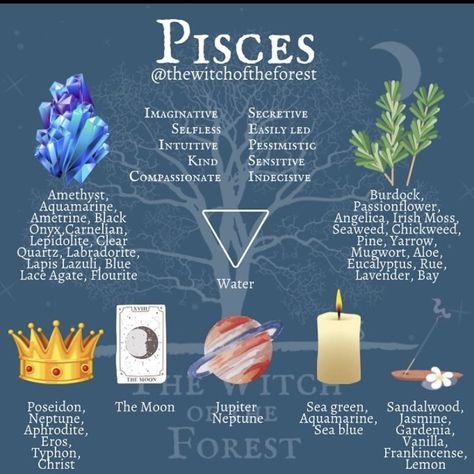 Pisces Season, Moon Sea, All About Pisces, Zodiac Pisces, Aquarius Season, Astrology Pisces, Lapis Lazuli Blue, New Moon Rituals, Irish Moss