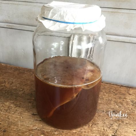 Make Your Own Kombucha, Kombucha Benefits, How To Brew Kombucha, Easy Hobbies, Kombucha Recipe, Pink Lady Apples, Fermented Tea, Kombucha Tea, Cooking Show