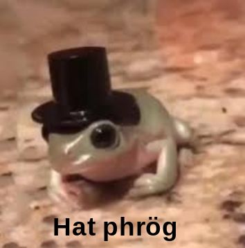 Frog With Top Hat, Sweet Frog, Pet Frogs, Frog Pictures, Cute Reptiles, Frog Art, A Frog, Frog And Toad, Cute Frogs