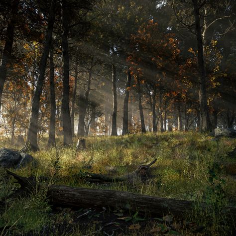 ArtStation - Cinematic Forest Forest Cinematography, Cinematic Forest, Forest Environment, Forest Games, Minecraft Inspiration, Deer Stags, Camping Games, Background Music, Falling Leaves