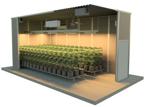 Grow Room Ideas Indoor, Indoor Grow Room, Indoor Farming, Indoor Grow, Hydroponic Farming, Grow Room, Vertical Farming, Urban Agriculture, Diy Raised Garden