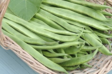 How To Cook Pole Beans From The Garden – Grower Today Best Pole Bean Recipes, Pole Beans Recipe, Learning How To Cook, Beans And Potatoes, Buttercup Squash, Tomato Trellis, Organic Pest Control, Pole Beans, Steamer Basket