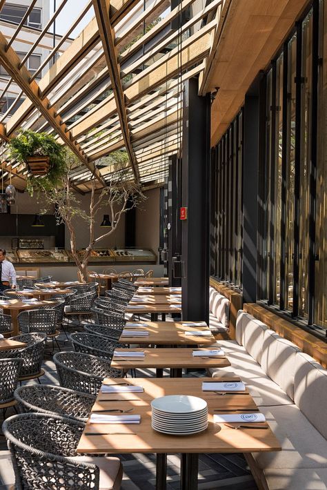 Vista interior. Restaurante Piedra Sal por VGZ Architecture. Fotografía © Rafael Gamo, Jaime Navarro Restaurant Bar Ideas, Fruit Tree Orchard, Tree Orchard, Outdoor Restaurant Patio, Rooftop Restaurant Design, Restaurant Exterior Design, Gardener Aesthetic, Small Restaurant Design, Modern Restaurant Design