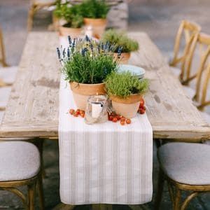 Potted Herbs Centerpiece, Herbs As Centerpieces, Flower Pot Centerpieces Wedding, Farm To Table Centerpieces, Herb Themed Wedding, Potted Herb Centerpieces, Cottagecore Table Centerpieces, Flower Pot Table Centerpieces, Potted Plants Wedding Centerpiece