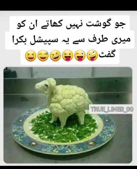 Eid Funny Quotes, Memes In Urdu, Sensible Quotes, Eid Al Adha Wishes, Eid Poetry, Bakra Eid, Haldi Dress, Urdu Jokes, Eid Mehndi