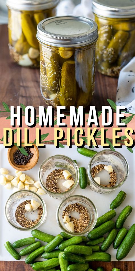 Best Dill Pickle Recipe, Homemade Dill Pickles, Kosher Pickles, Cucumber Pickles, Garlic Dill Pickles, Homemade Pickles Dill, Kosher Dill Pickles, Dill Pickle Recipe, Pickled Cucumbers