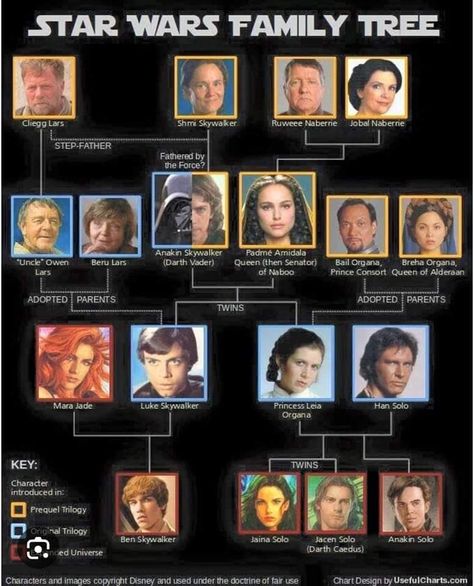 Skywalker Family Tree, Darth Caedus, Star Wars Family Tree, Family Tree Picture, Family Tree Images, Jacen Solo, Star Wars Origami, Darth Revan, Mara Jade