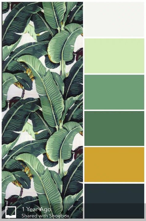 Tropical Leaves | Green colour palette, Room color schemes, Colorful interiors Mid Century Colors, Yellow Colour Scheme, Color Palette Yellow, Room Color Schemes, Green Colour Palette, Tropical Colors, Bedroom Paint, Colour Board, Decor Minimalist