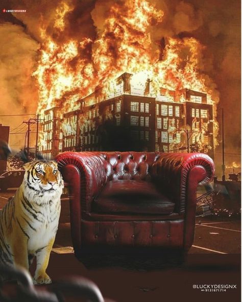 🔥 Picsart Chair With Tiger Photo Editing Background - 2021 Background HD CBEditz.com & King Background, Face Editing, Boy Photo Editing, Bike Boy, Tiger Photo, Dog Background, Blurred Background Photography, Blur Background Photography, Black Background Photography