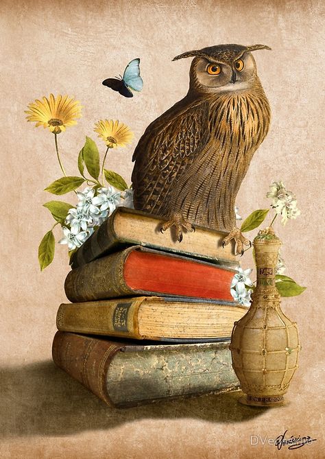 Wise Owl Owl Library, Owl Spirit Animal Art, Owl On Books, Book Owl, Field Mice, Owl In Tree Painting, Owl Posters, Owl Books, Owl Canvas