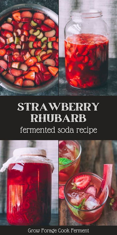 Fermented Soda Recipes, Strawberry Rhubarb Wine Recipe, Rhubarb Kombucha Recipe, Fermented Drinks Recipes, Ginger Bug Soda Recipes, Fermented Rhubarb, Rhubarb Soda, Fermented Food Recipes, Fermented Soda