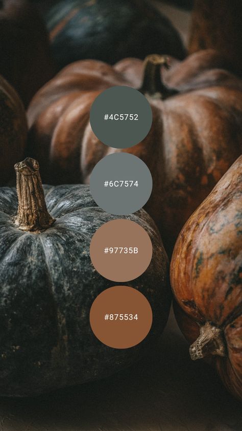 Charcoal dusted earth tones make for a practical take on autumn hues. Try it in the home office, library, living room, or loft / condo / bachelor apartment. #colorpalette #colourpalette #autumn #fall #brown #leather #grey #masculine Fall Earth Tone Color Palette, Dark Earth Tones Colour Palettes, Earthy Home Living Room, Fall Paint Colors Living Room, Rustic Industrial Color Palette, Color Palette Academia, Brown Neutral Color Palette, Earthy Color Palette Branding, Brown And Gray Color Palette