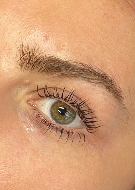 Lvl Lash Lift, Lvl Lashes, Brown Hairstyles, Wispy Eyelashes, Mascara Application, Lashes Extensions, Lash Tint, Eyelash Extensions Styles, Minimal Makeup