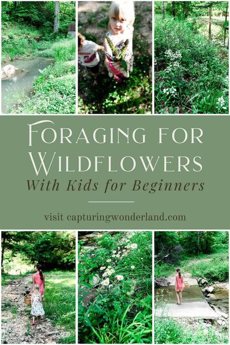 Witch Plants, Apothecary Kitchen, Wild Foraging, Wild Onions, Wild Food Foraging, Eastern Redbud, Wood Sorrel, Edible Wild Plants, Identify Plant