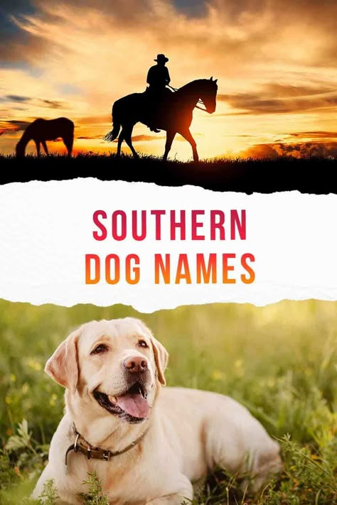 southern dog names Cute Country Dog Names, Western Pet Names, Country Puppy Names, Rustic Dog Names, Female Hunting Dog Names, Western Names For Dogs, Female Dog Names Country, Girl Hunting Dog Names, Western Dog Names Boy