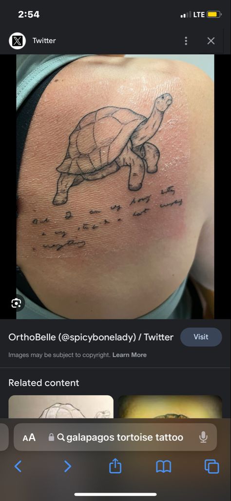 Galapagos Tattoo, Galapagos Tortoise, Tattoos And Piercings, Tortoise, Tatting, Piercings, Tattoos