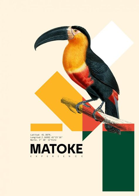 Matoke Experience Poster Collection by Xavier Esclusa Trias Photo Poster Design, Awareness Poster, Magazine Layout Design, Minimal Poster, Food Poster Design, Poster Layout, Creative Poster Design, Poster Collection, Animal Posters