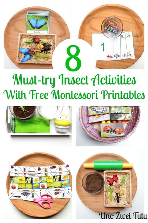 Spring is Almost Here! Celebrate with Fun Insect Activities – Lesson Plans Insects Activities, Lego Puzzle, Bug Activities, Insects Preschool, Bugs Preschool, Montessori Printables, Insect Activities, Learning Spanish For Kids, Montessori Lessons