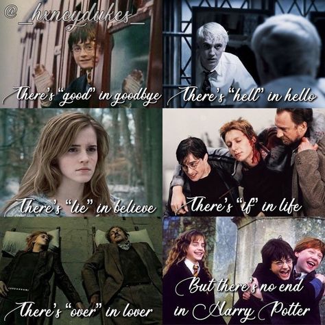 Harry Potter Saddest Quotes, Citate Harry Potter, Always Harry Potter, Funny Harry Potter Jokes, Harry Potter Memes Hilarious, Harry Potter Puns, Funny Harry Potter, Harry Potter Spells, Harry Potter Feels