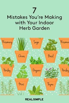 Windowsill Herb Garden, Indoor Gardening Supplies, Mason Jar Herbs, Mason Jar Herb Garden, Indoor Planting, Growing Herbs Indoors, Garden Cactus, Herb Garden In Kitchen, Plant Games