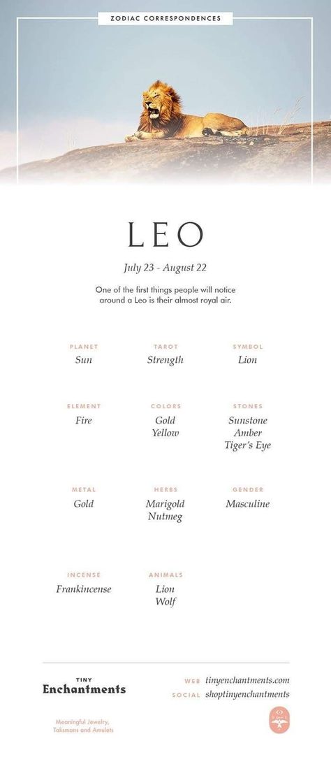 Leo Meaning, About The Zodiac Signs, Leo Symbol, Leo Zodiac Tattoos, Leo Personality, Leo Tattoo Designs, Lion Lioness, Leo Zodiac Quotes, Tattoo Lion