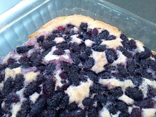 Southern Forager: Totally Awesome Mulberry Cobbler! Blackberry Pudding Cake, Mulberry Cobbler, Blackberry Pudding, Milk Allergy Mom, Mulberry Recipes, Blackberry Cobbler Recipe, Berry Cobbler, Milk Allergy, Fruit Cobbler