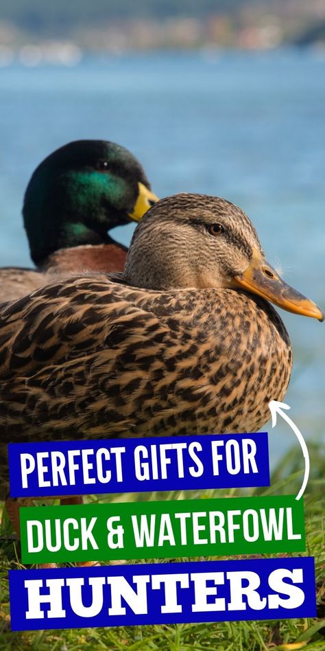 Best Perfect Gifts for Duck & Waterfowl Hunters | Fantastic Gifts For Hunters | Hunting Gifts For Men or Women | Duck Hunter Presents | Waterfowl Hunter Presents | #gifts #giftguide #presents #ducks #waterfowl #hunter #uniquegifter Unique Gifts For Hunters, Gifts For Boyfriend Hunting, Duck Hunter Gifts, Hunting Gifts For Men, Duck Hunting Gifts, Hunting Birthday, Goose Hunting, Bird Hunter, Waterfowl Hunting