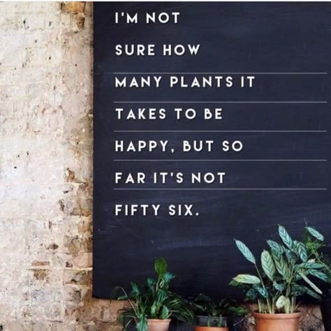 28 Funny Memes For Plant Lovers - Funny Gallery Plant Humor, Plant Jokes, Plant Decor Living Room, Plants In Bedroom, Plant Quotes, House Plant Decor, Board Sayings, Letterboard Quotes, I Wet My Plants