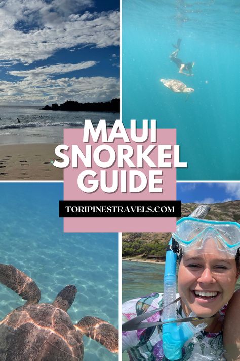 Where to snorkel in Maui | Maui Snorkeling for beginners | Turtles in Maui | Maui Vacation | Hawaii Snorkeling Hawaii Snorkeling, Maui Snorkeling, Vacation Hawaii, Best Snorkeling, Snorkel Set, Maui Vacation, Snorkeling Gear, Tropical Destinations, Hawaii Vacation