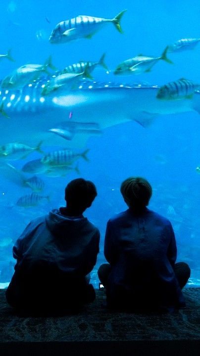 Mlm Lockscreen, Aquarium Lockscreen, Mlm Date Ideas, Gay Date Ideas, Aquarium Date, Sitting Together, The Heist, Doyoung Nct, Poses References