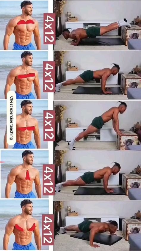 Latihan Dada, Trening Sztuk Walki, Gym Workout Planner, Bodybuilding Workout Plan, Gym Workout Chart, Workout Training Programs, Abs Workout Gym, Abs And Cardio Workout, Weight Training Workouts