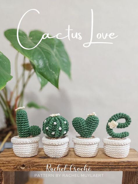 Cactus Love Crochet, Love Cactus Crochet Pattern, Cactus Love Amigurumi, Crochet Cacti Pattern Free, Crochet Love Cactus Free Pattern, Crochet Cactus Flower Free Pattern, Crochet Cactus Amigurumi, Plants Crochet Pattern Free, Crochet Planters Free Pattern