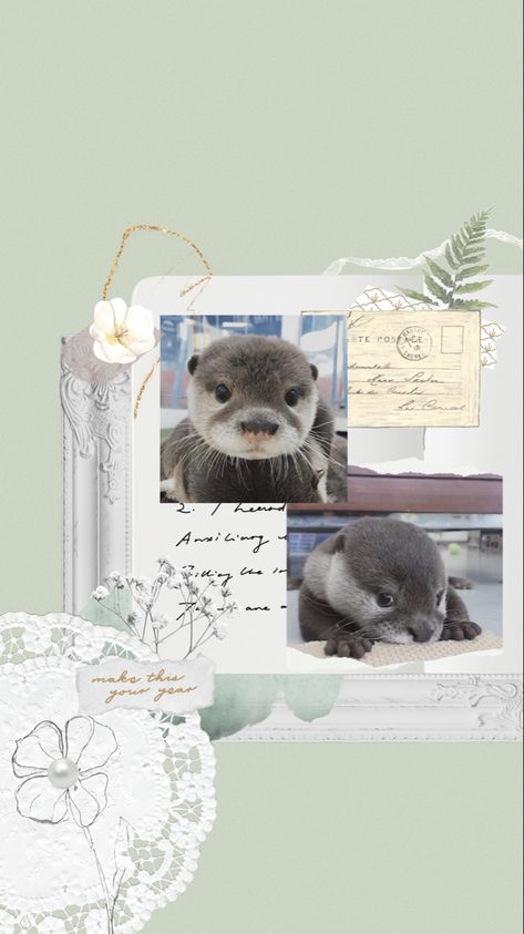 Otters Aesthetic Wallpaper, Cute Otter Wallpaper Aesthetic, Cute Otters Wallpaper, Otter Aesthetics Wallpaper, Otter Wallpapers Backgrounds, Otter Lockscreen, Cute Sea Otter Wallpaper, Sea Otter Wallpaper, Cute Otter Wallpaper