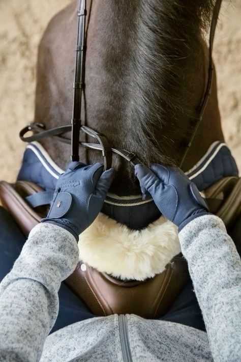 Horse Riding Aesthetic, Horsey Life, Equestrian Aesthetic, Horse Riding Clothes, Horse Inspiration, Horse Fashion, Equestrian Lifestyle, Horse Equestrian, Equestrian Life