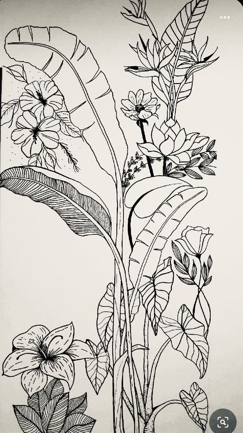 Tropical Flowers Drawing, Contemporary Botanical Art, Botanical Line Art, Doodle Art Flowers, Diy Abstract Canvas Art, Wall Drawing, Flower Art Images, Plant Drawing, Pen Art