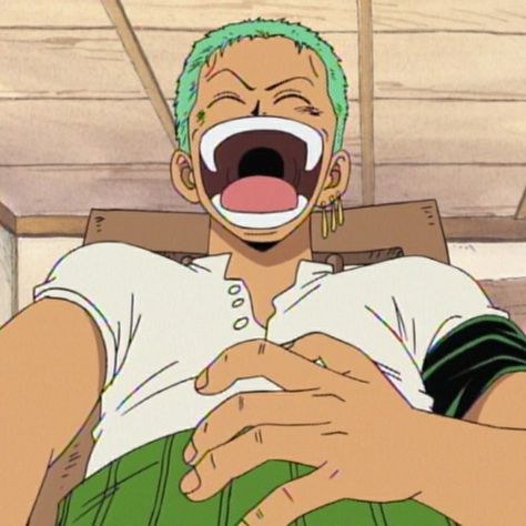 Zoro Laughing, Roronoa Zoro Icon, Bonney One Piece, One Piece Icons, One Piece Zoro, Luffy Zoro, Zoro One Piece, Manga Anime One Piece, Comic Movies